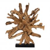 Sculpture Racine de Teck H120cl