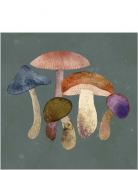 20 x Serviettes Papier Champignons 25*25