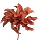 6 Fleurs Cumbia Terracotta H54cm