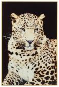 Cadre Leopard Verre 120cm