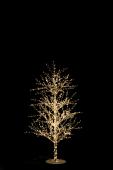 Arbre Perles Métal Blanc Leds 125cm