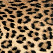 20 x Serviettes Papier Leopard 33*33