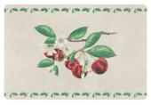 12 Sets de Table Cerisier Comptoir de Famille