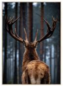 Tableau Cerf en Forêt 84*124