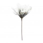 Fleur Rapa Blanc 83cm