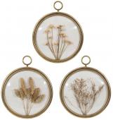 Cadre Deco Rond x3 Médaillon Doré Comptoir de Famille