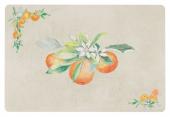 12 Sets de Table Oranger Comptoir de Famille