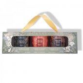 Coffret Noël 2024 Bougies Parfumées Durance (Sapin - Cannelle/O - Marrons Glaçés)