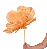 6 x Fleurs Maxi Nina Pêche H87cm