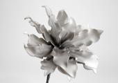 6 Fleurs Cumbia Gris H54cm