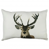 2 Coussins Cerf Elaphe 40x60