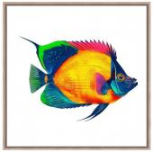 Cadre Toile Dora Colors 50*50