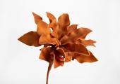 6 Fleurs Cumbia Orange Foncé H54cm