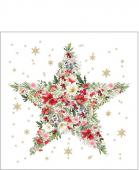 20 x Serviettes Papier Etoile de Noël 25*25