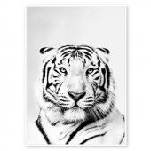 Toile Cadre Tigre Noir et Blanc Velours 84*124