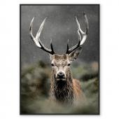Toile Cadre Cerf dans les Buissons 84*124