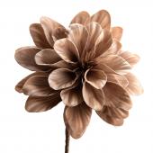 6 Fleurs Bastia Champagne H86cm