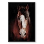 Toile Cadre Cheval 84*124