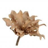 6 Fleurs Cumbia Doré H54cm