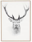 Tableau Cadre Tête de Cerf 64*94cm