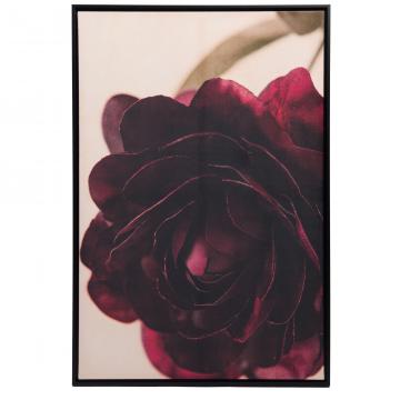 Toile Cadre Pivoine sur Velours 80*120