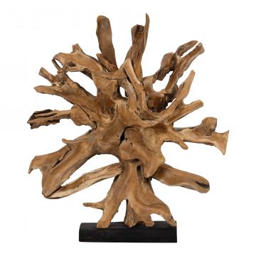 Sculpture Racine de Teck L230cm
