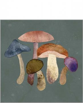 20 x Serviettes Papier Champignons 25*25