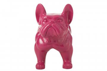 Bulldog Mgo Fushia (Outdoor)