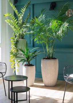 Cache-Pot Floride Ivoire H68cm (Outdoor)