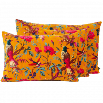 2 x Coussins Birdy Chamois 40*60