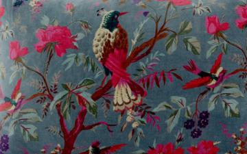 Housse d'Edredon Birdy Turquin 85x200