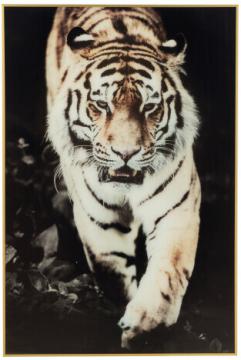 Cadre Tigre Verre Noir Or 120cm