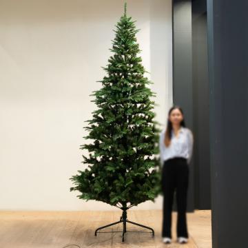 Sapin de Noël Colorado Led H300cm