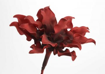 6 Fleurs Cumbia Rouge H54cm