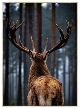 Tableau Cerf en Forêt 84*124