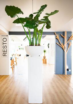 Colonne Coupe Kurina Blanc (Outdoor)