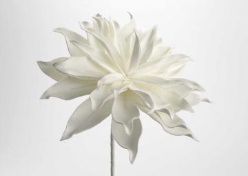 6 Fleurs Villa Blanc H70cm