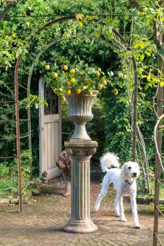 Colonne Magnésium Antic Vert Foncé (Outdoor)