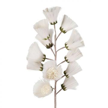 2 Fleurs Camae Blanc Cassé 95cm