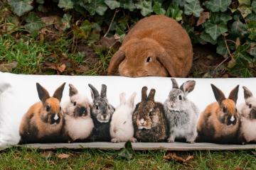 Boudin de Porte Lapins