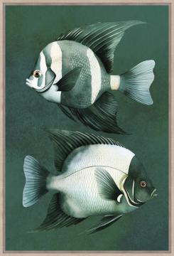 Toile Poissons Emearaude 60*90