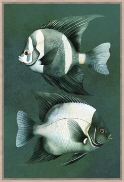 Toile Poissons Emearaude 60*90
