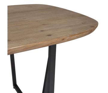 Table à Manger Ovale Naturel Noir Alpinia 200cm