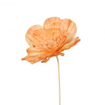 6 x Fleurs Maxi Nina Pêche