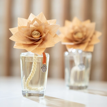 Fleur Parfumée Ambre Grand Format 500ml Durance