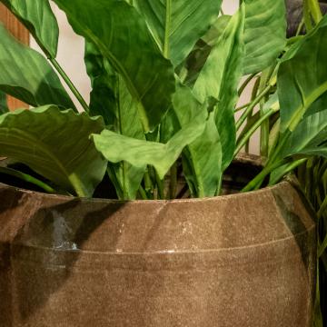 Cache-Pot Venice Marron