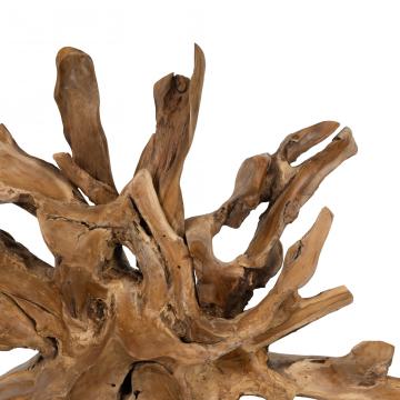 Sculpture Racine de Teck L230cm