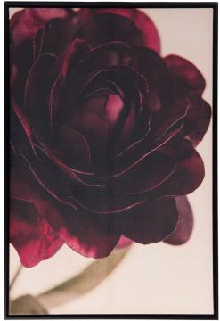 Toile Cadre Pivoine sur Velours 80*120