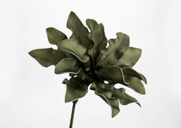 6 Fleurs Cumbia Kaki H54cm