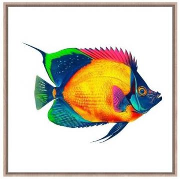 Cadre Toile Dora Colors 50*50